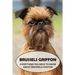 Brussels Griffon: Everything You Need to Know About Brussels Griffon: Brussels Griffon Dog Breed Pictures