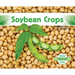 Soybean Crops