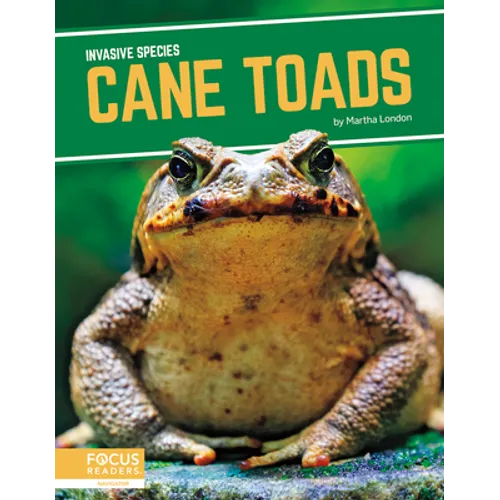 Cane Toads