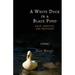 A White Duck in a Black Pond: Race, Identity, and Privilege