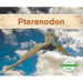 Pteranodon