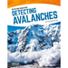 Detecting Avalanches
