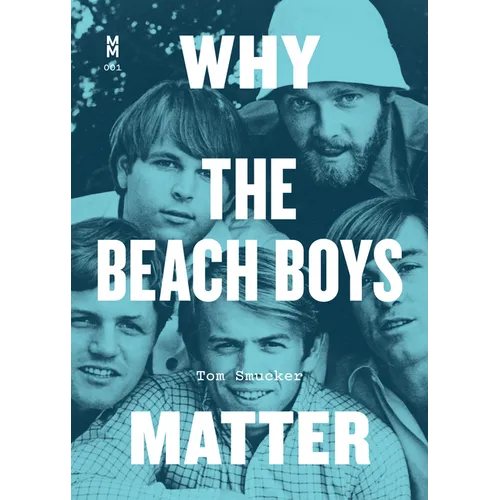 Why the Beach Boys Matter