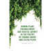 Human-Plant Entanglement and Vegetal Agency in the Poetry of Thomas Hardy and Sylvia Plath