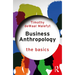 Business Anthropology: The Basics