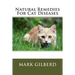 Natural Remedies For Cat Diseases