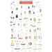 Mac's Field Guides: Northeast Garden Bugs