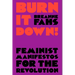 Burn It Down!: Feminist Manifestos for the Revolution