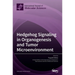 Hedgehog Signaling in Organogenesis and Tumor Microenvironment