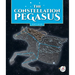 The Constellation Pegasus