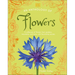 An Anthology of Flowers: A Collection of Flowers from Gardens, Mountains and More, with Fascinating Secrets
