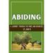 Abiding: A Journey Through the Vines and Branches of John 15
