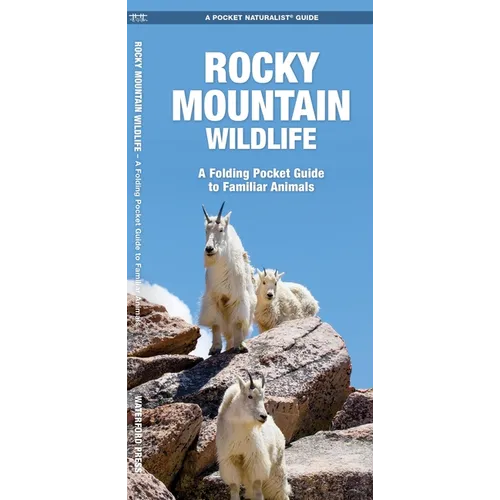 Rocky Mountain Wildlife: A Folding Pocket Guide to Familiar Animals