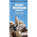 Rocky Mountain Wildlife: A Folding Pocket Guide to Familiar Animals