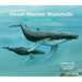 About Marine Mammals: A Guide for Children (Educational Science Book about Whales, Dolphins, Polar Bears & More for Stem Learning)