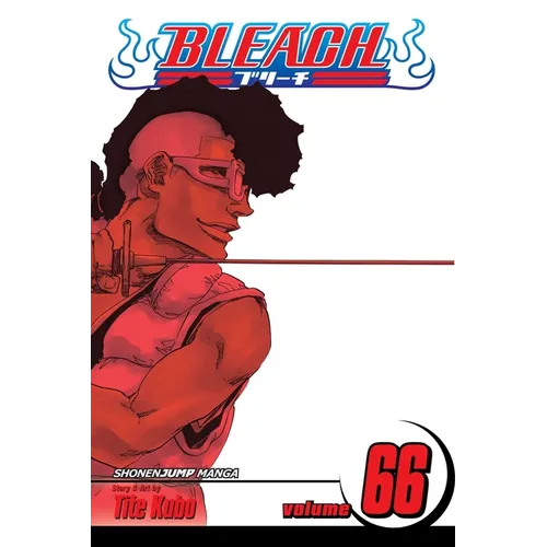 Bleach, Vol. 66: Sorry I Am Strong