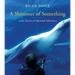 Shimmer of Something: Lean Stories of Spiritual Substance
