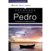 Sermones Actuales Sobre Pedro (Modern Sermons about Peter Spanish Edition): Homilías Sobre Los Evangelios Sinópticos