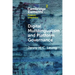 Digital Multilingualism and Platform Governance