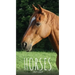 Horses 2021 Diary: Slim Pocket Calendar, Monthly Planner, Date Book, Organizer, Notepad