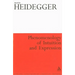 Phenomenology of Intuition and Expression: Theory of Philosophical Concept Formation