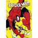 Spider-Man by Michelinie & Larsen Omnibus Erik Larsen Spider-Man Cover [New Printing]