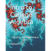 Intro to College Algebra: Factoring From Beginning to End