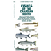 Fishes of the Canadian North: A Folding Guide to Native and Introduced Freshwater Species of the Northwest Territories, Nunavut and Yukon