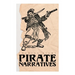 Pirate Narratives: The Pirates Own Book: Authentic Narratives of the Most Celebrated Sea Robbers
