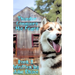 Thunder Conquers His Fears: Book 2