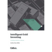 Intelligent Gold Investing (including a section on Bitcoin) 2e / 2023