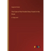 The Case of the Pocket Diary Found in the Snow: in large print