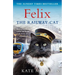 Felix the Railway Cat