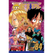 One Piece, Vol. 84