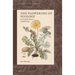 The Flowering of Ecology: Maria Sibylla Merian's Caterpillar Book