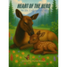 Heart of the Herd: An Elk Calf Grows Up