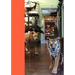 Taxidermy
