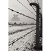 A Bridge to the Generations: A Personal Memoir Inspired by the Experiences of Marie Rebhun