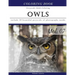 Owls World: Animal Gray Scale Photo Adult Coloring Book, Mind Relaxation Stress Relief Coloring Book Vol7: Series of coloring book