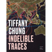 Tiffany Chung: Indelible Traces