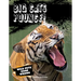 Big Cats Pounce!