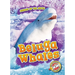 Beluga Whales