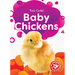 Baby Chickens