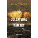 Collateral Damage: Stories
