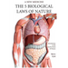 The Five Biological Laws of Nature: : A New Medicine (Color Edition) English