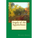 Angels of the Appalachians