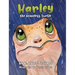 Harley the Homeless Turtle