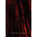 Tomorrow Brings (Limited Hc)
