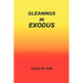 Gleanings in Exodus