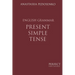 Present Simple Tense. English Grammar